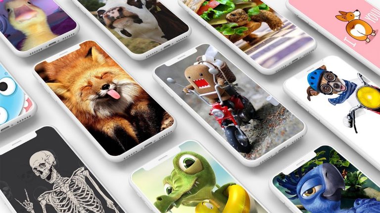 Смешные Обои для Android — скриншот 1