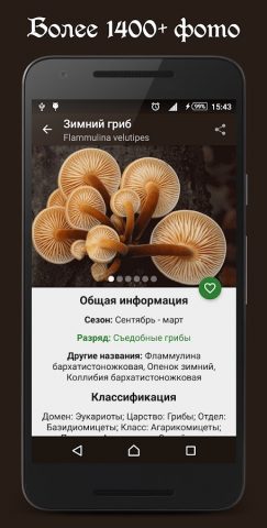 Справочник грибника для Android — скриншот 1