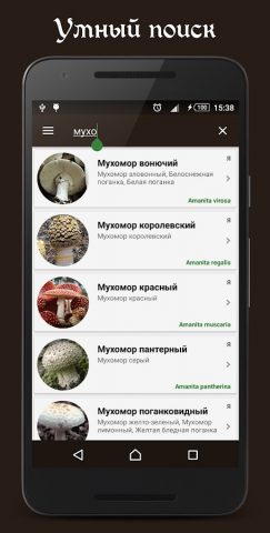 Справочник грибника для Android — скриншот 2