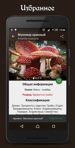 Справочник грибника для Android — скриншот 5
