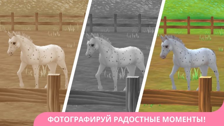 Star Stable Horses для Android — скриншот 5