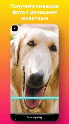 TIME WARP SCAN — Смешные Лица для Android — скриншот 4