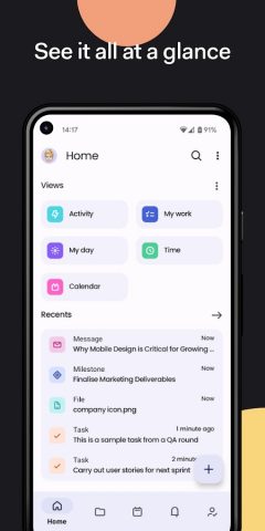Teamwork.com для Android — скриншот 1