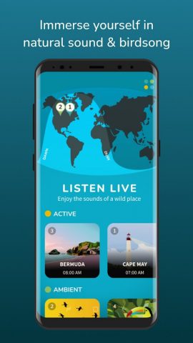 Terra для Android — скриншот 1