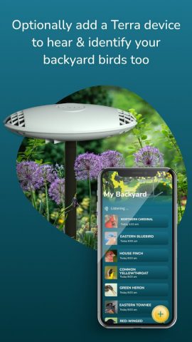 Terra для Android — скриншот 3