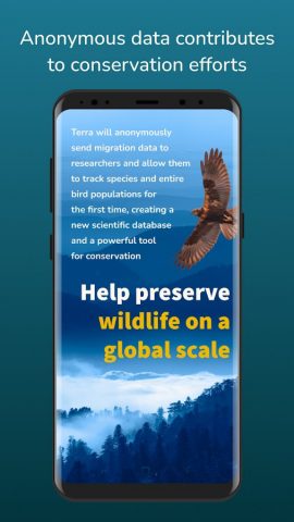 Terra для Android — скриншот 4