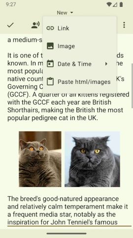 Text Editor для Android — скриншот 4
