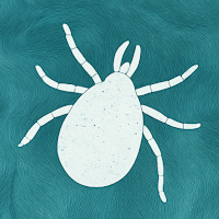 Tick Detector — Сканер клещей для Android