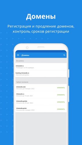 Timeweb Хостинг для Android — скриншот 3