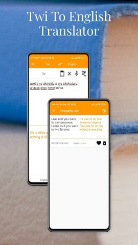 Twi To English Translator для Android — скриншот 3