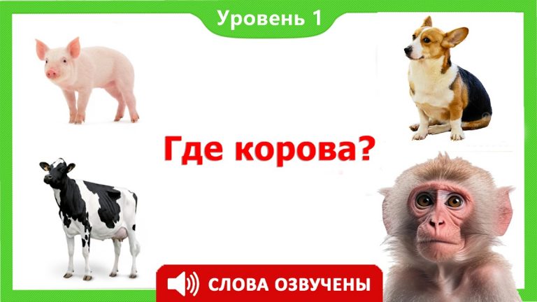 Учим животные для малышей для Android — скриншот 2