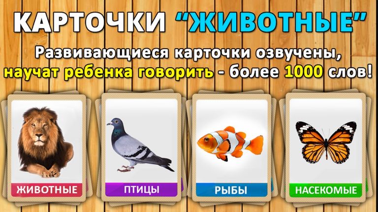Учим животные для малышей для Android — скриншот 5