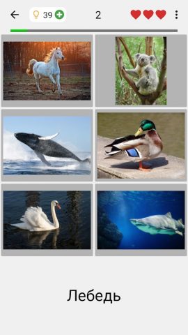 Угадай картинки и слова — Игра для Android — скриншот 2