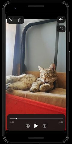 Video Player iOS для Android — скриншот 4