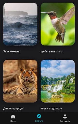 Видео и звуки природы для Android — скриншот 1