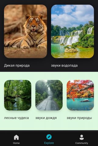Видео и звуки природы для Android — скриншот 2