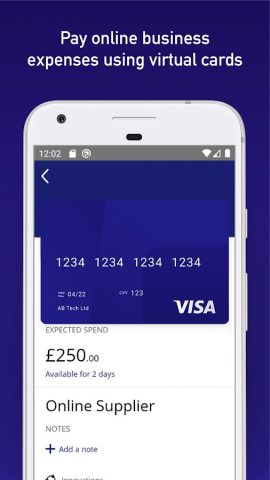 Visa Commercial Pay для Android — скриншот 2