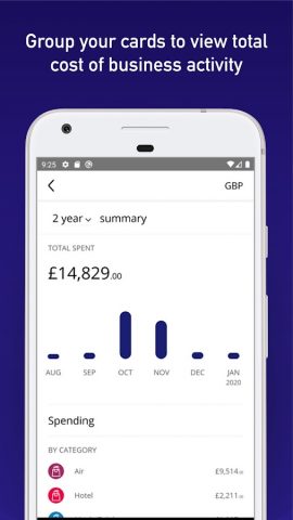 Visa Commercial Pay для Android — скриншот 3