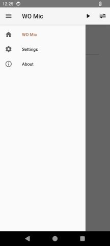 WO Mic для Android — скриншот 2
