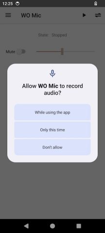 WO Mic для Android — скриншот 4
