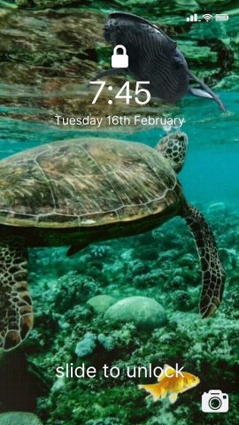 Животные живые обои 4K для Android — скриншот 2