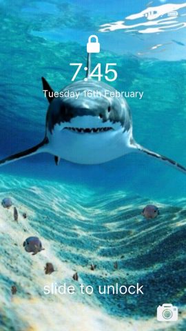 Животные живые обои 4K для Android — скриншот 3