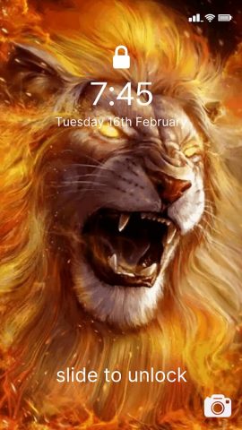 Животные живые обои 4K для Android — скриншот 5