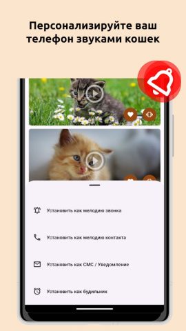 Звуки кошаков: Мяу тон для Android — скриншот 3