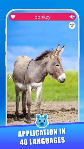 Звуки животных для Android — скриншот 3