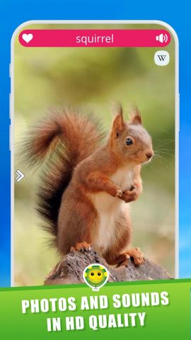 Звуки животных для Android — скриншот 4