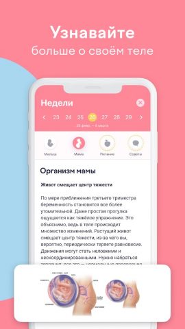 amma: Календарь беременности для Android — скриншот 4