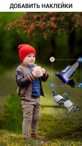 фоторедактор природы для Android — скриншот 4