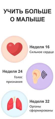 календарь беременности для Android — скриншот 5