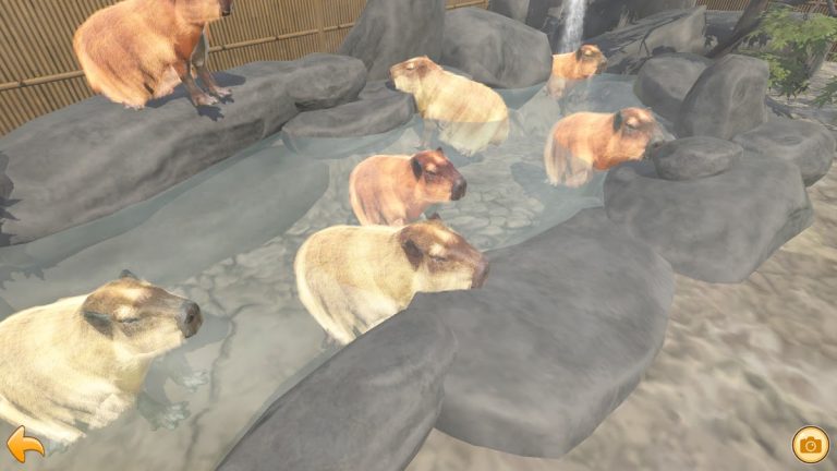 капибара Горячий источник для Android — скриншот 3