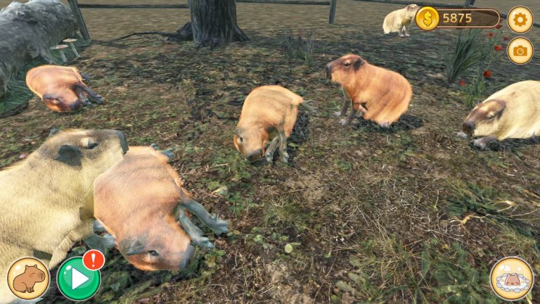 капибара Горячий источник для Android — скриншот 5