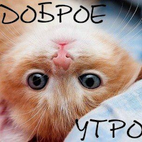 картинки с добрым утром для Android