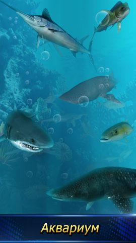 монстра рыболовный 2025 для Android — скриншот 2