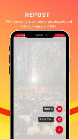 скачать видео с пинтерест для Android — скриншот 5