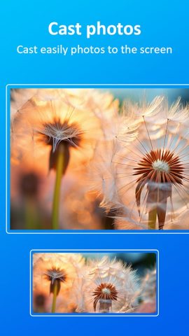 tranScreen для Android — скриншот 2