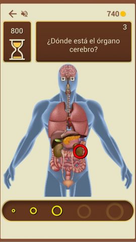 5 Золотых Колец для Android — скриншот 4