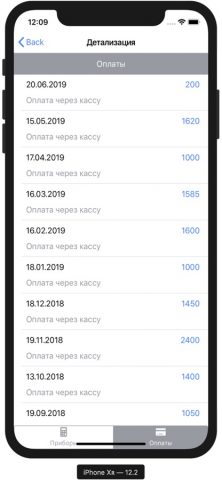 АО «Чеченэнерго» для iOS — скриншот 4
