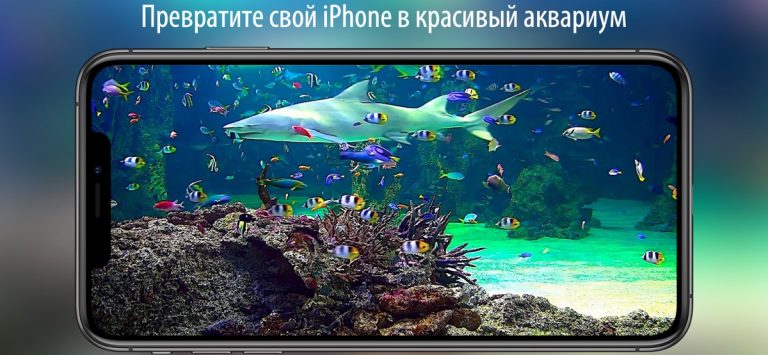 Аквариум живые обои HD для iOS — скриншот 1