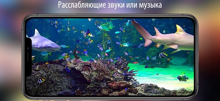 Аквариум живые обои HD для iOS — скриншот 3