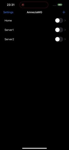 AmneziaWG для iOS — скриншот 1