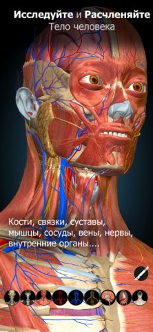 Anatomy Learning — 3D анатомия для iOS — скриншот 1