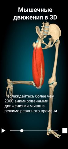 Anatomy Learning — 3D анатомия для iOS — скриншот 2