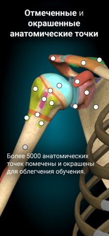 Anatomy Learning — 3D анатомия для iOS — скриншот 3