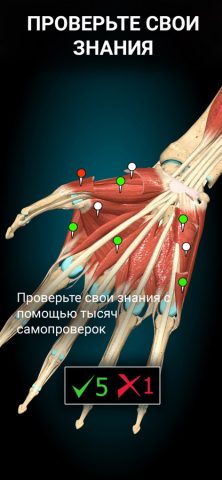 Anatomy Learning — 3D анатомия для iOS — скриншот 5