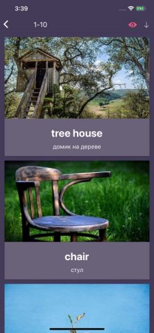 Английский 2 класс Lite для iOS — скриншот 4