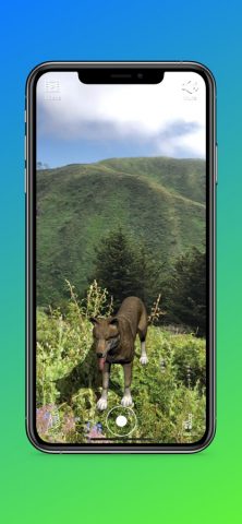 Animal Safari AR — 3D Learning для iOS — скриншот 3